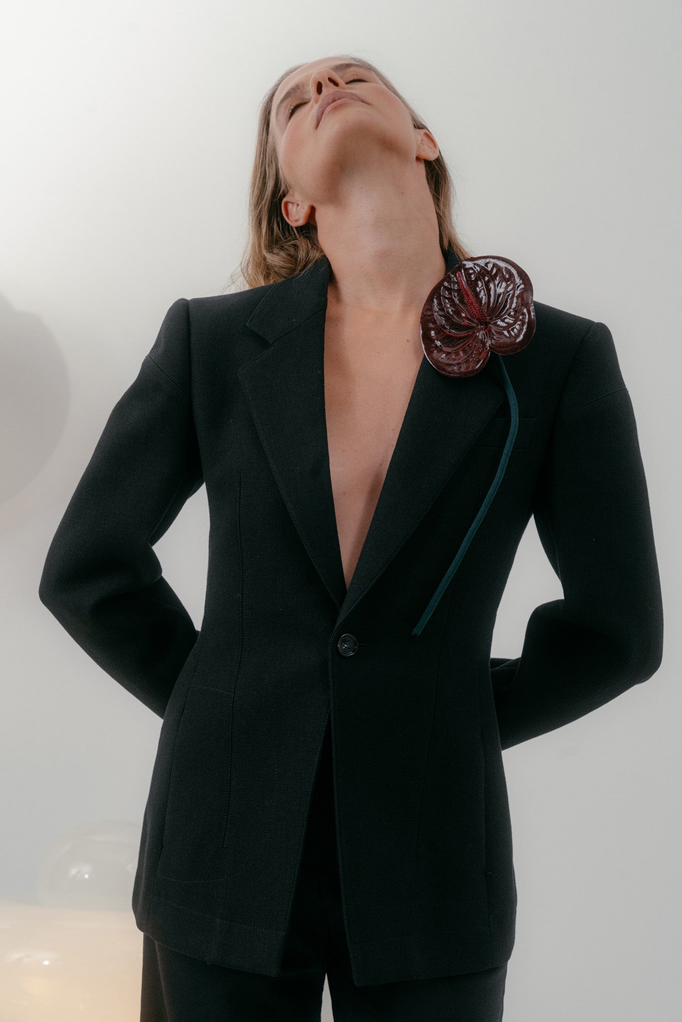 The Burgundy Anthurium