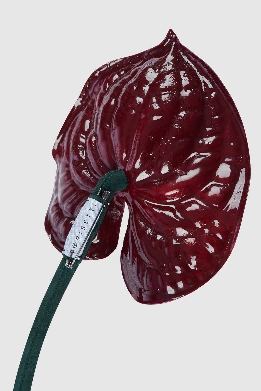 The Burgundy Anthurium